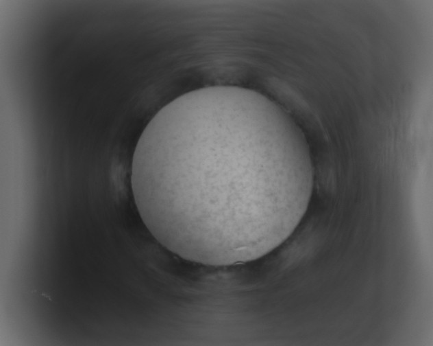 X0000101111010200807101504