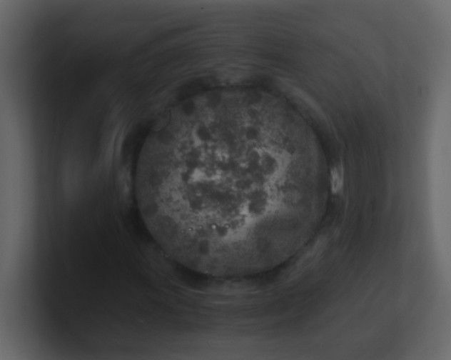 X0000101111011200807101504