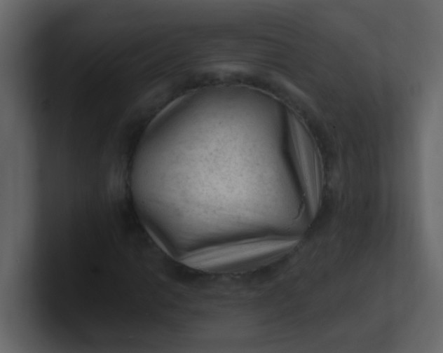 X0000101111014200807101504