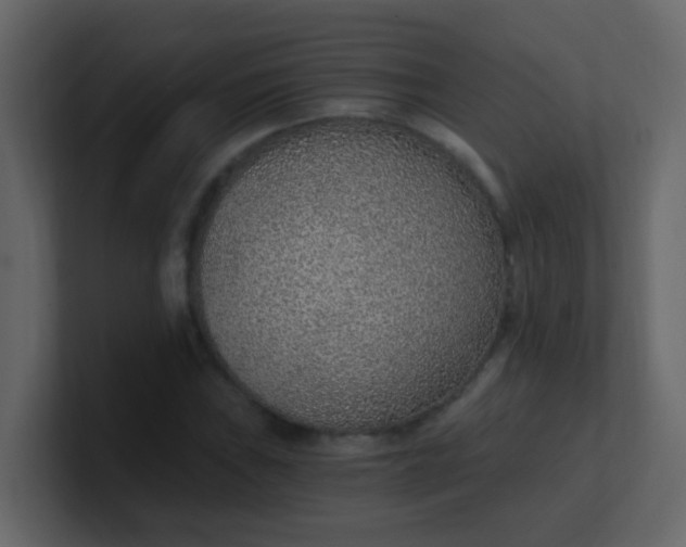X0000101111019200807101504