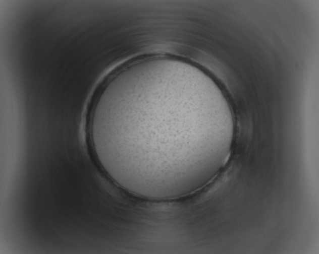 X0000101111020200807101504