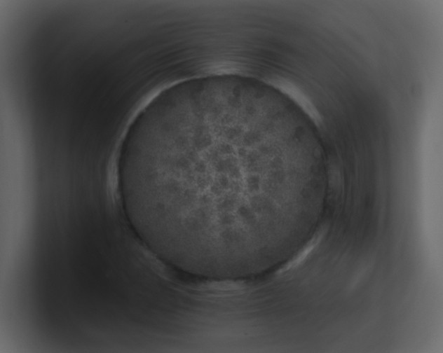 X0000101111023200807101504