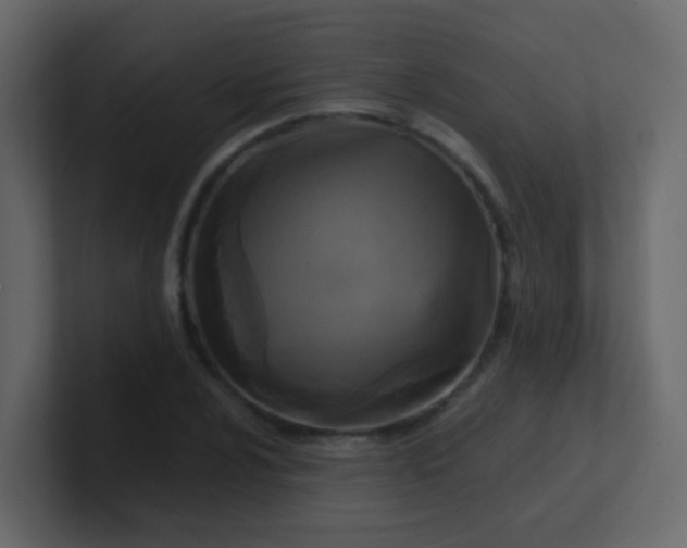 X0000101111024200807101504