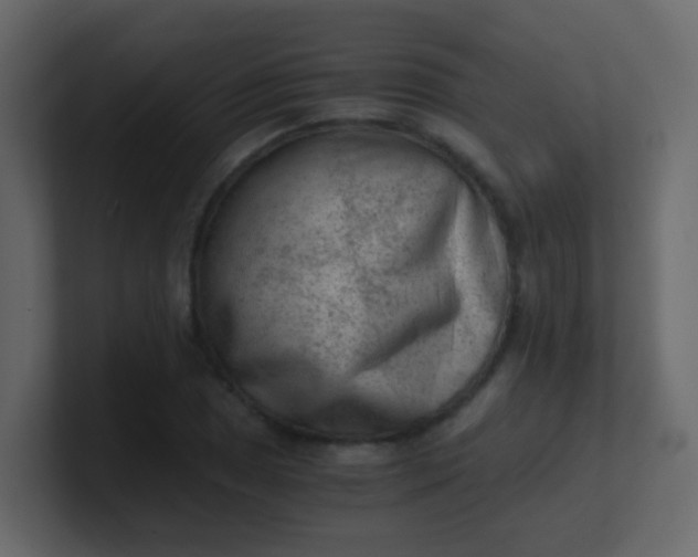 X0000101111025200807101504