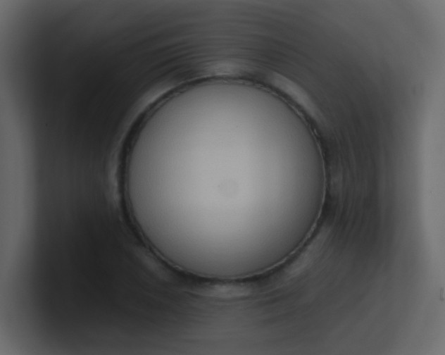 X0000101111026200807101504