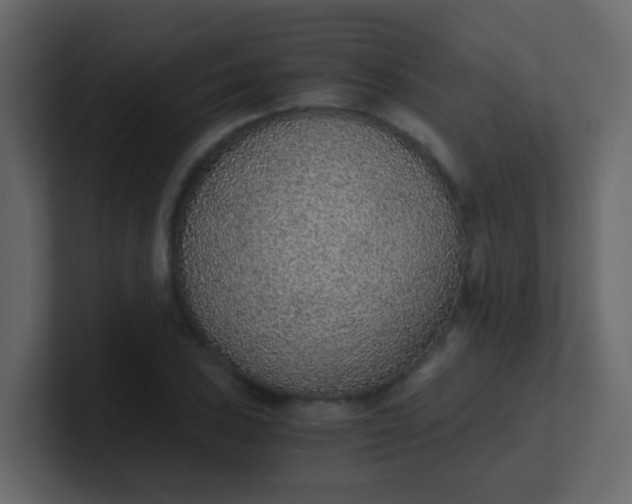 X0000101111027200807101504