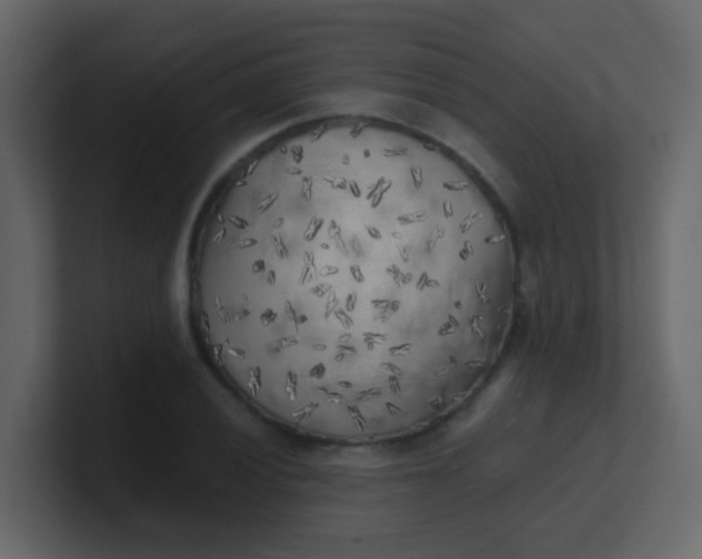 X0000101111028200807101504