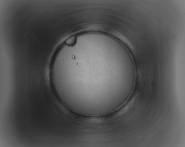 X0000101111029200807101504