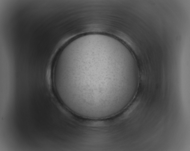 X0000101111030200807101504