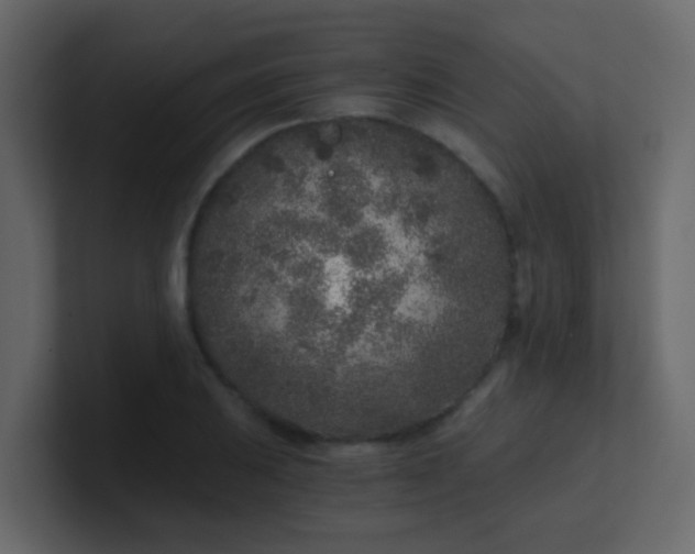 X0000101111031200807101504