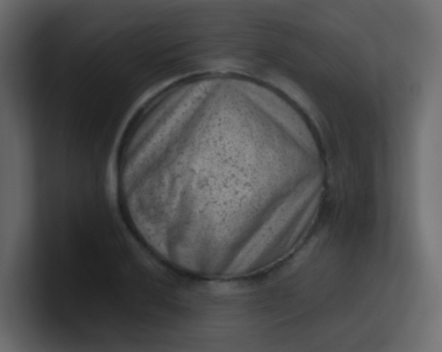 X0000101111032200807101504