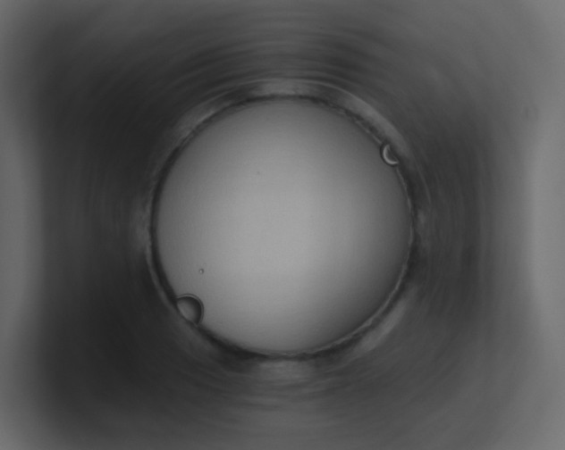 X0000101111033200807101504