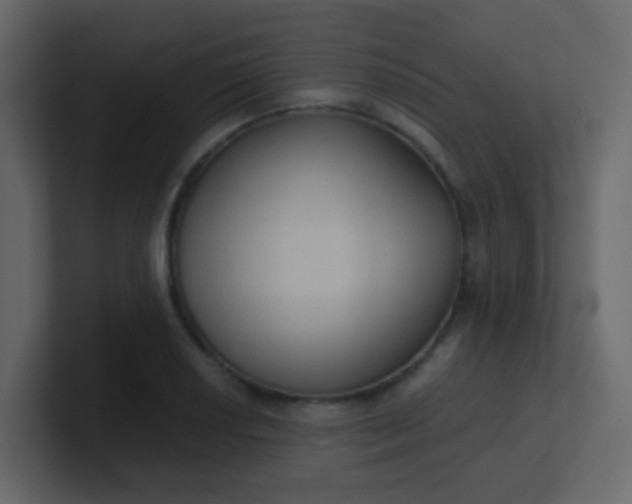 X0000101111034200807101504