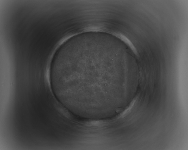 X0000101111035200807101504