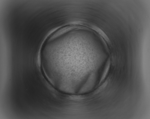X0000101111036200807101504