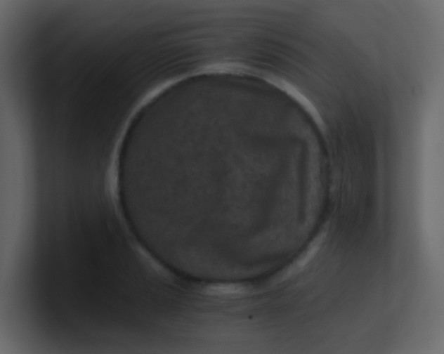 X0000101111037200807101505