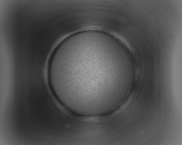 X0000101111038200807101505