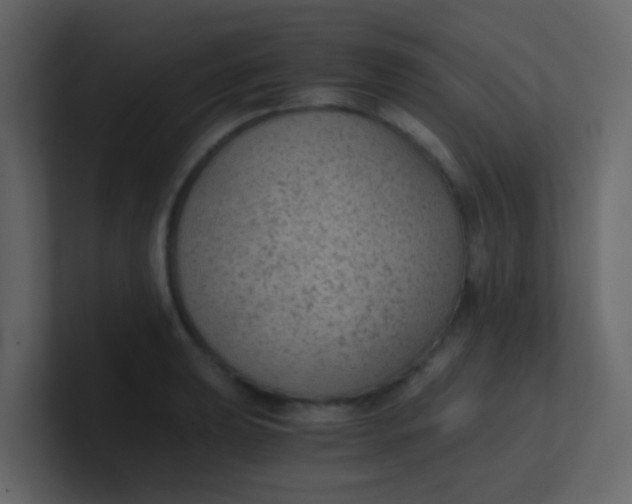 X0000101111039200807101505