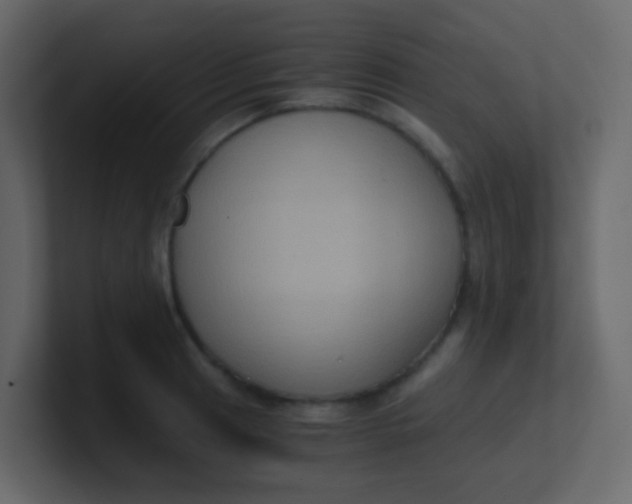 X0000101111041200807101505
