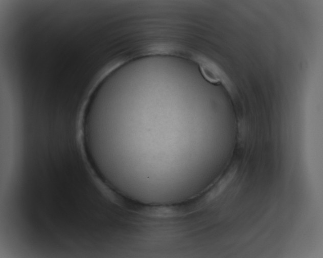 X0000101111042200807101505