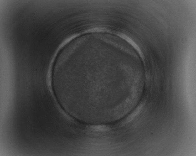 X0000101111045200807101505