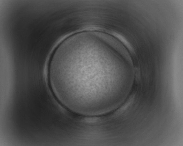 X0000101111046200807101505
