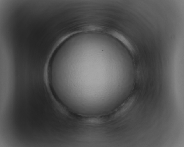 X0000101111047200807101505