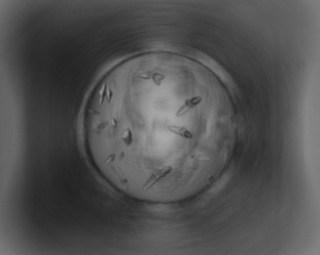 X0000101111048200807101505