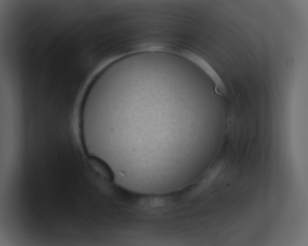 X0000101111051200807101505