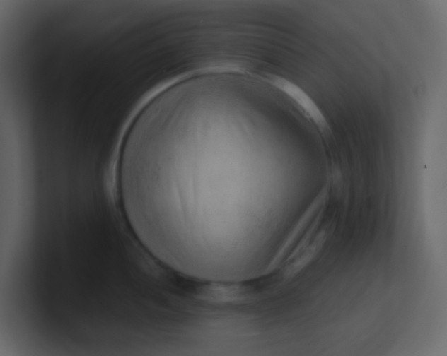 X0000101111052200807101505