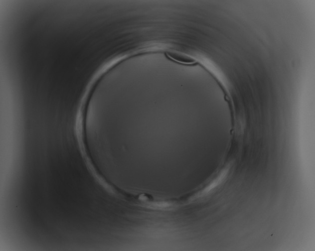 X0000101111053200807101505