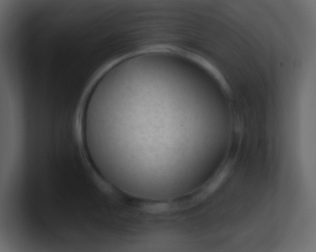 X0000101111054200807101505