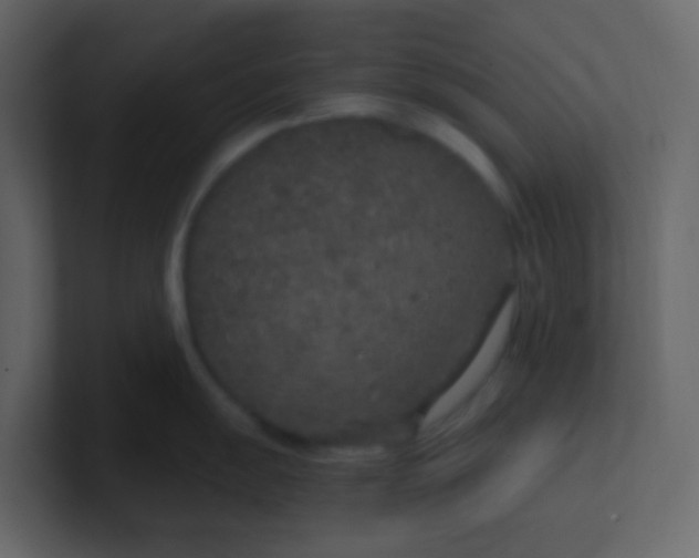 X0000101111055200807101505