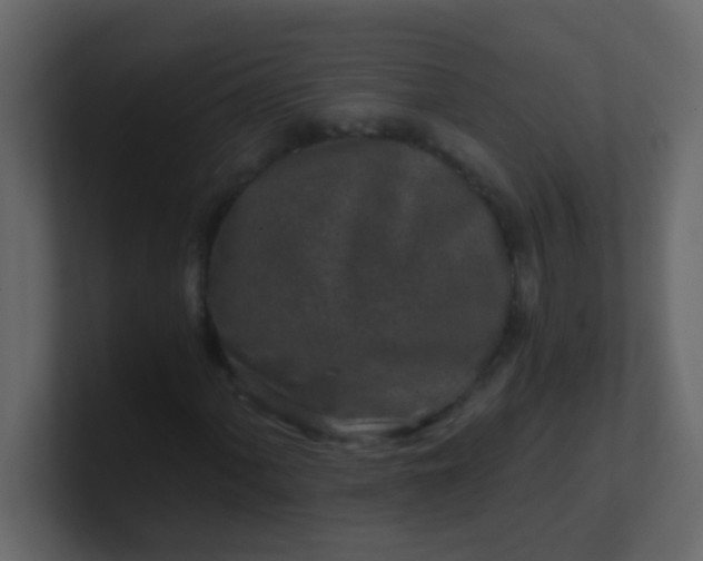 X0000101111060200807101504