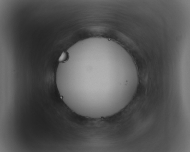 X0000101111061200807101504