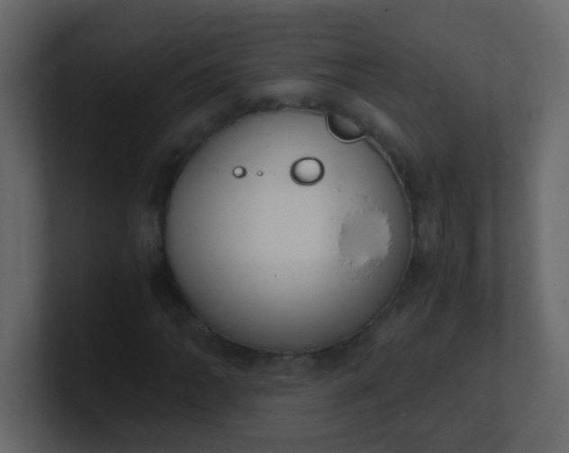 X0000101111062200807101504