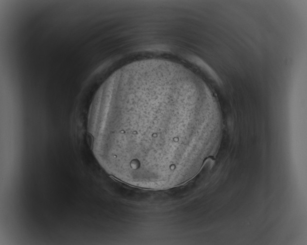 X0000101111064200807101504
