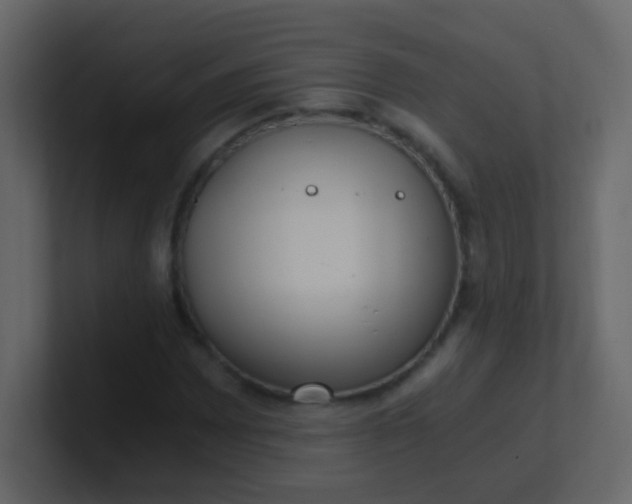 X0000101111065200807101504