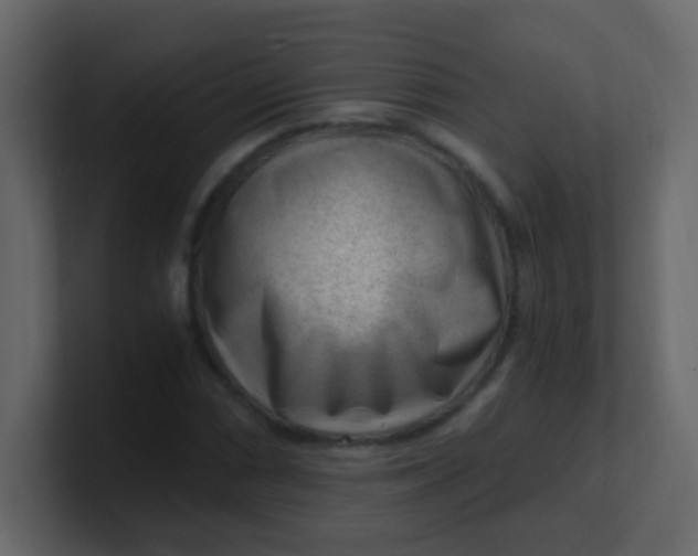 X0000101111066200807101504
