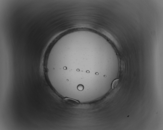X0000101111068200807101504