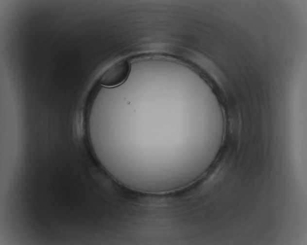 X0000101111069200807101504