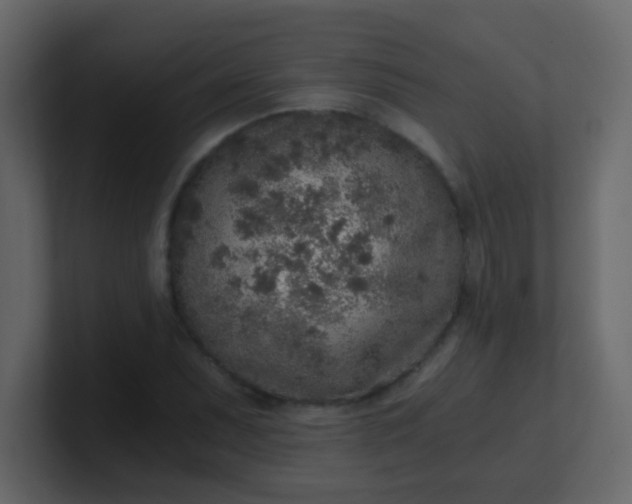 X0000101111071200807101504