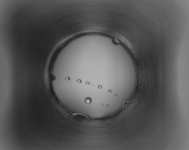 X0000101111072200807101504