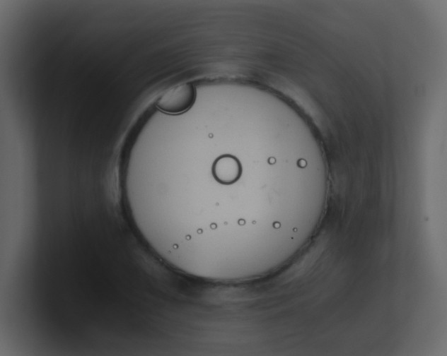 X0000101111075200807101504