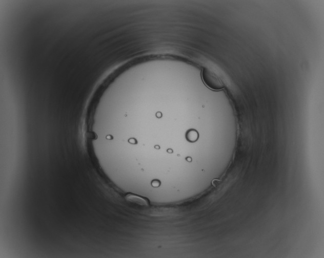 X0000101111076200807101504