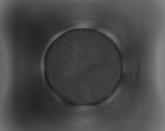 X0000101111077200807101504