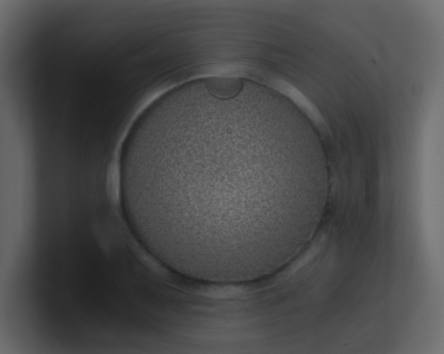 X0000101111079200807101504