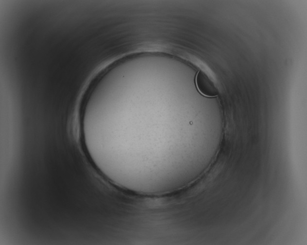 X0000101111080200807101504