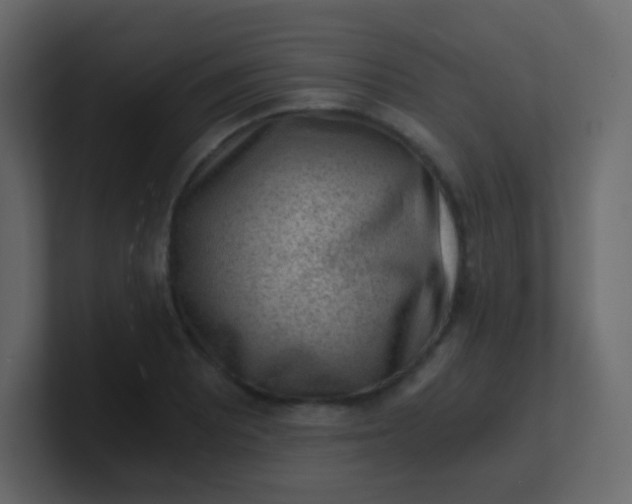 X0000101111081200807101504