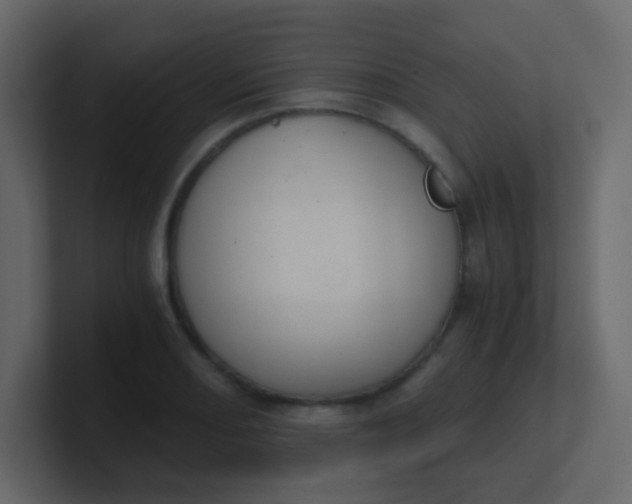 X0000101111082200807101504
